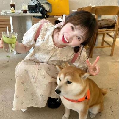 玫瑰皇后